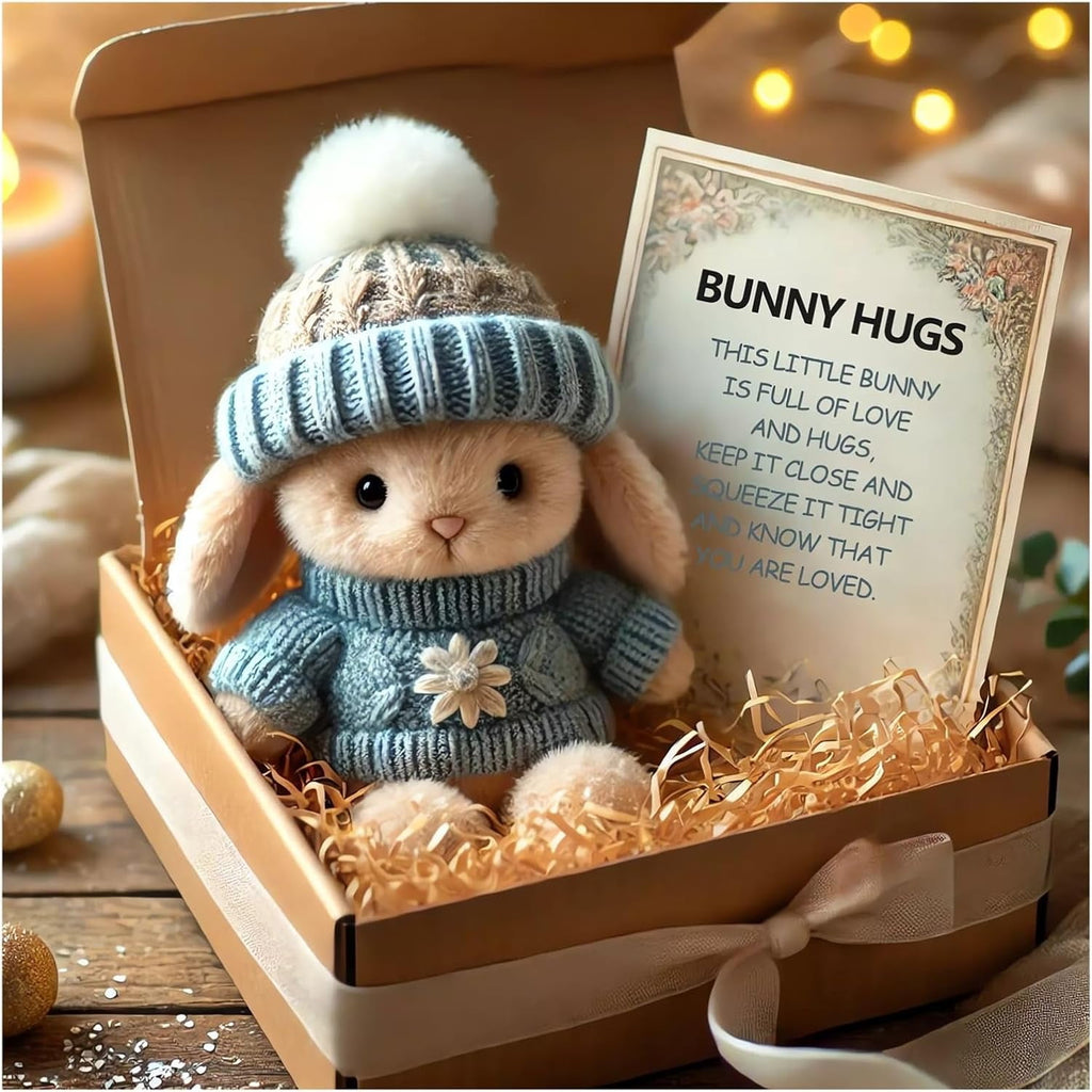 Mini Bunny Hug Cute Easter Gift Plush 2025 Bunny in a Box Hugs Positive Bunny Stuffed Animal Rabbit Soft Floppy Easter Ideas Bunnies Basket Stuffers Doll Emotional Support Inspirational Gifts