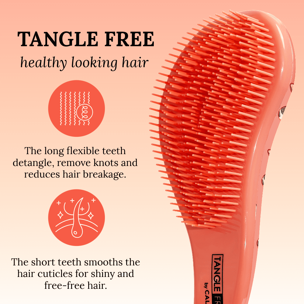 CALA Tangle Free Hair Brush with Frenchie Design for All Hair Types