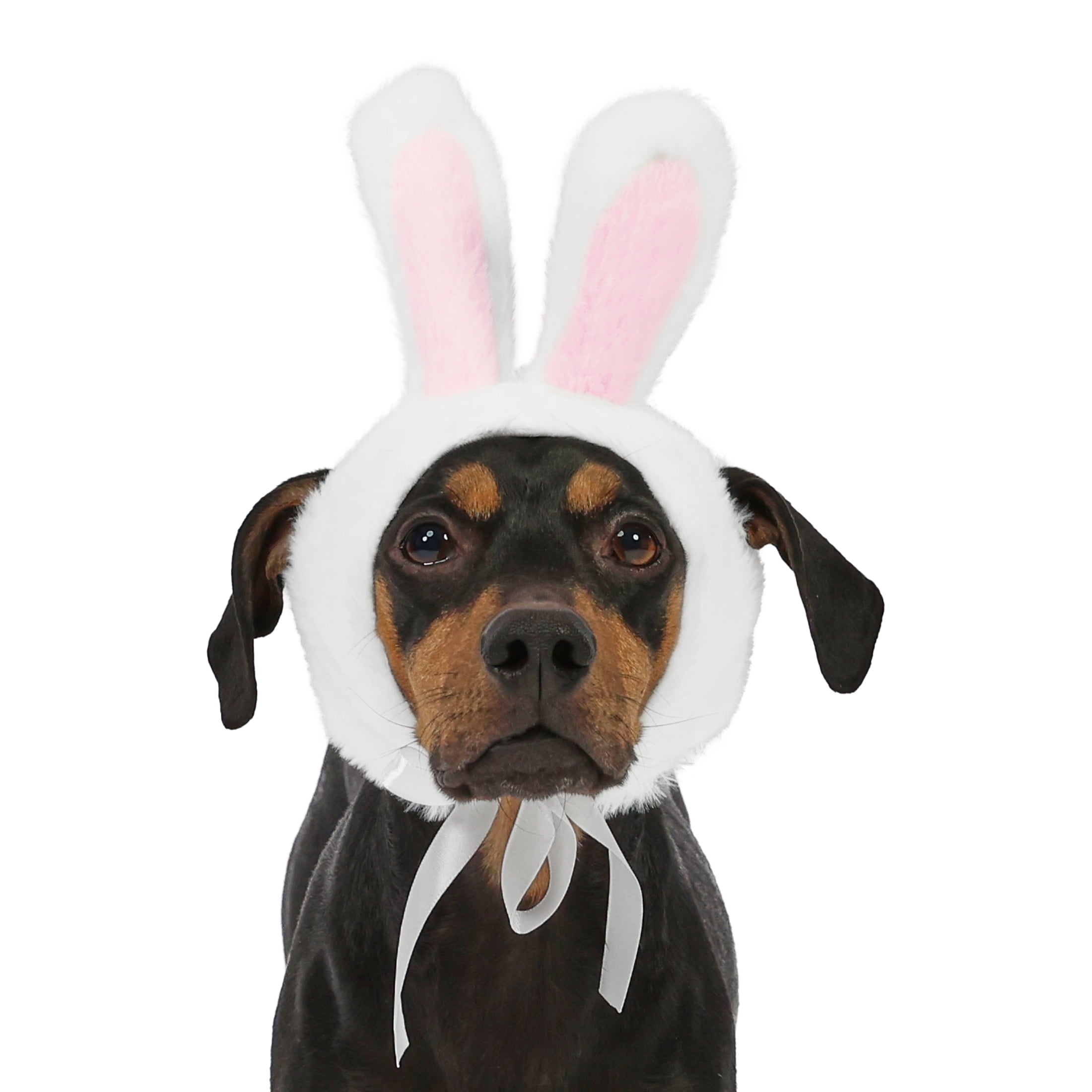 Vibrant Life Easter Bunny Ears for Cats & Dogs, White, S