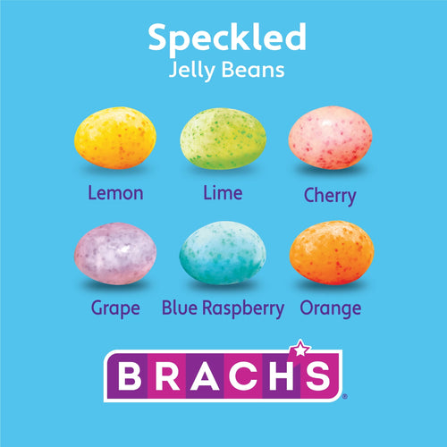 Brach's Speckled Jelly Beans, Springtime Easter Candy, 7oz
