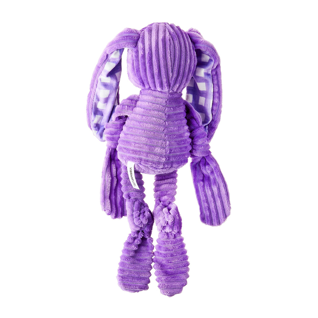 Vibrant Life Ribbed Easter Bunny Dog Toy, Purple